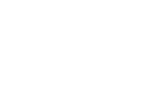 donatopirolo Logo